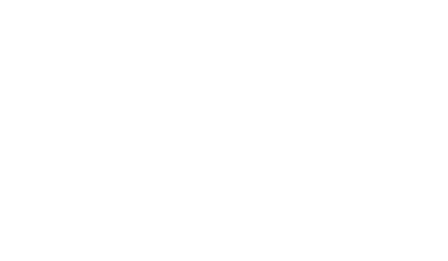 SSO-Argau Logo