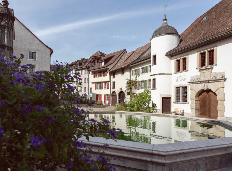 Blick in die Altstadt von Brugg mit Brunnen, Blumen und alten Häusern.